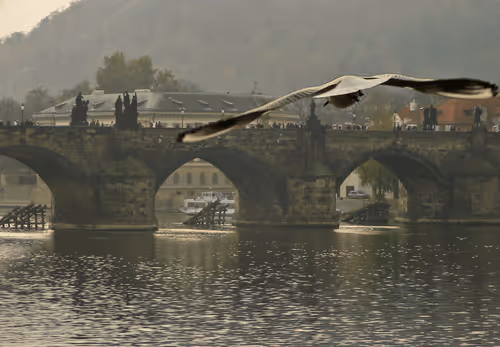 Item #72771752724512834897841148734331697196499953349916527017693403108073761931364 Media