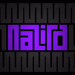 16299965594125679084215638819284828615600716619750483311007834642084561682433