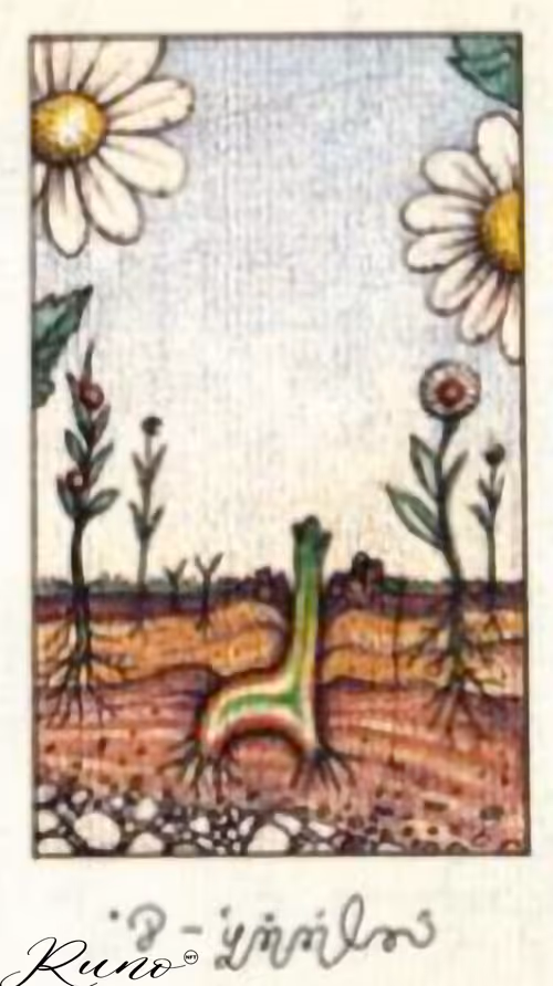 Item #82027568132874209204905566475371830288322008056794566303556806113162262740997 Media