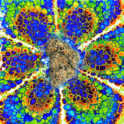 13955282856406335165414100891374623718709547313428947888299034051714322792483