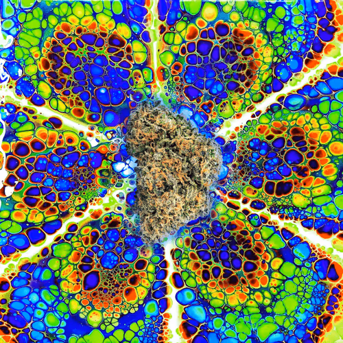 Item #13955282856406335165414100891374623718709547313428947888299034051714322792483 Media