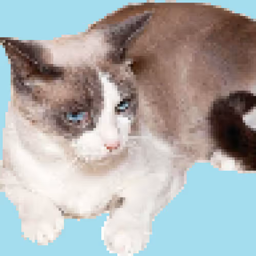 Item #91910287960762603597667557624097333532700135261074982792072954938305317699585 Media