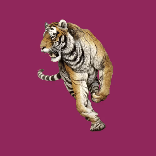 39100040089724211732086654931507121209027915590441630210368001269847396712449