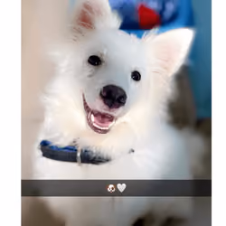 pablo 8 months young 