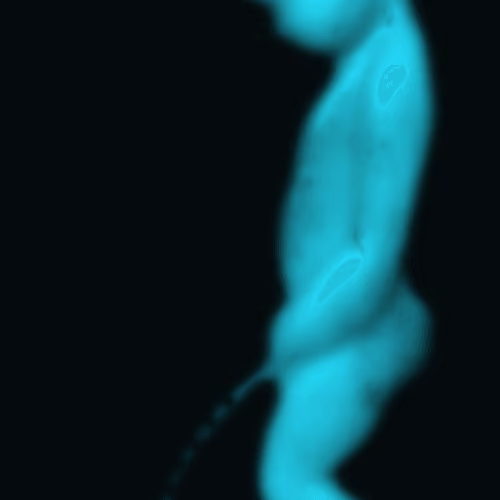 The Secret Code of Peeing