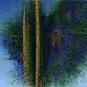 26628652436392377242659498402844969496643805126086391932449205762831845163009