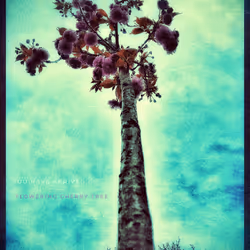 3787080761074609709675817509753112159059746763483256848434353774400198672385