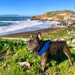 99031261785432219130552668818269695456905868997165113515571762532556487000065