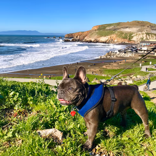 Item #99031261785432219130552668818269695456905868997165113515571762532556487000065 Media