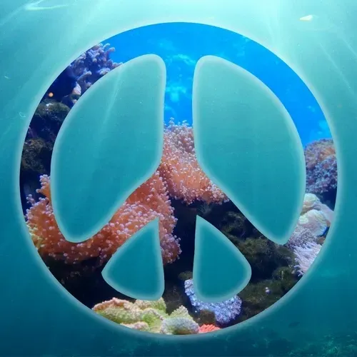 Item #17725140823311110427822241619765836771184584261670370627392030447445326430209 Media