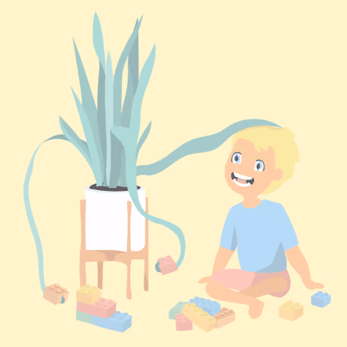 Boy and his Plant