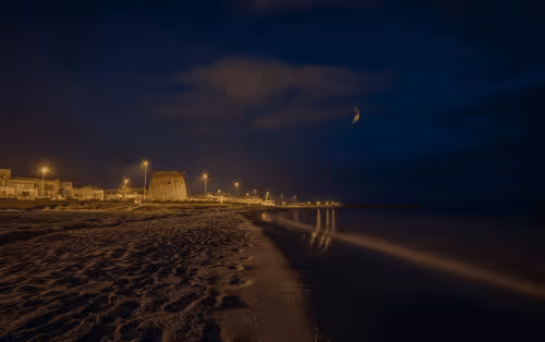 Untitled Collection #51020181