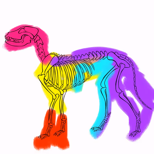 Item #66115251428437251400949335005857765940906863007353817121707627034138313228289 Media