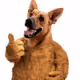 91327592446491203550107791071079015224023190106835126687562730891702907699201