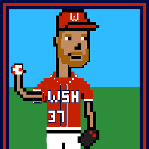 BallParkPunk - WSH #37 - Stephen S.