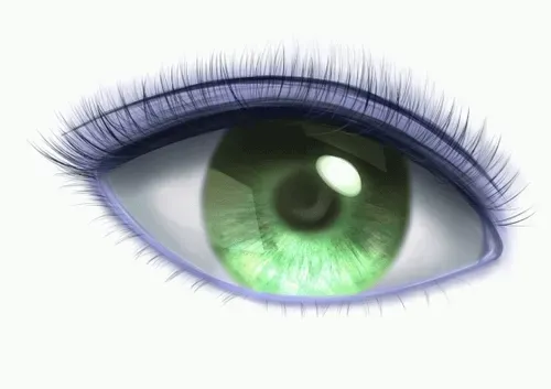 Item #42950694591796666568266939449637019646211598636303907727097118082598197788673 Media