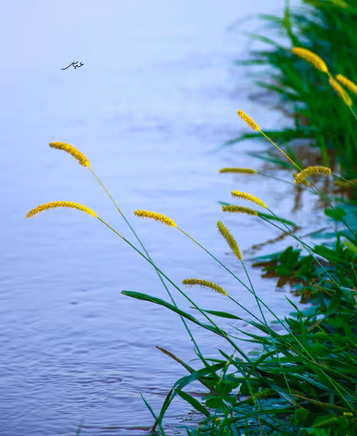 Item #9104047852343460824823657095955061139286762947505329334286274241196170674177 Media