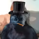 58257193324544515664211420763631457645506696476027376506500031143336554266625