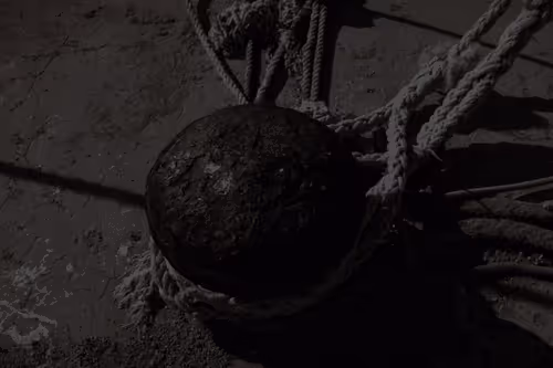 Item #99206175731752603969632246751396839615347692654100145142238794300594084380674 Media