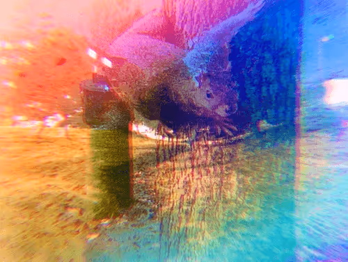 Untitled Collection #219794310