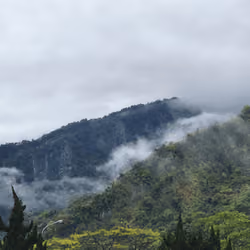 盤山雲霧