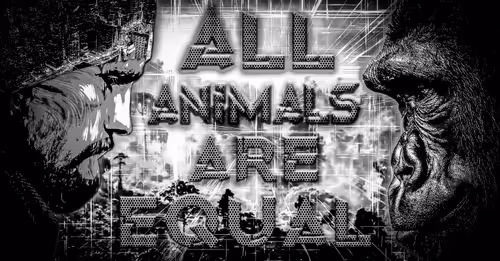 48790520787155310426102062731270564561928034817995506544027698489775743830968