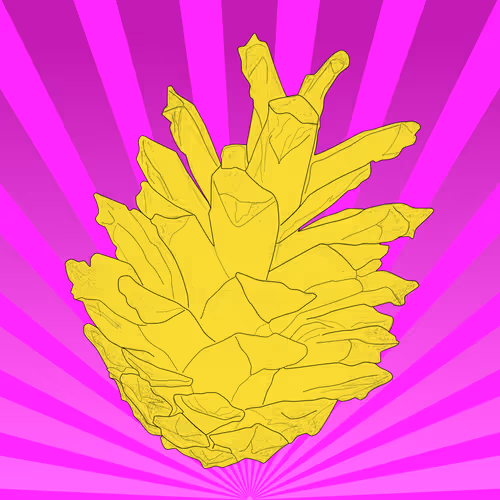 Item #51684206879132971117287575805148041327006568930595361555171380760128474054657 Media