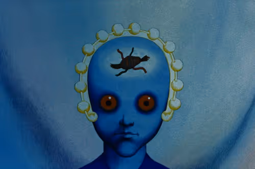 Item #72979762752493002636932871041185342092120897352087323913127970132137514893313 Media