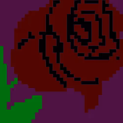  Rose