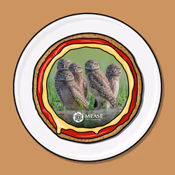 15325094160703702961871960386367558677721013205368135024481889721927124124648