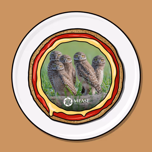 15325094160703702961871960386367558677721013205368135024481889721927124124648