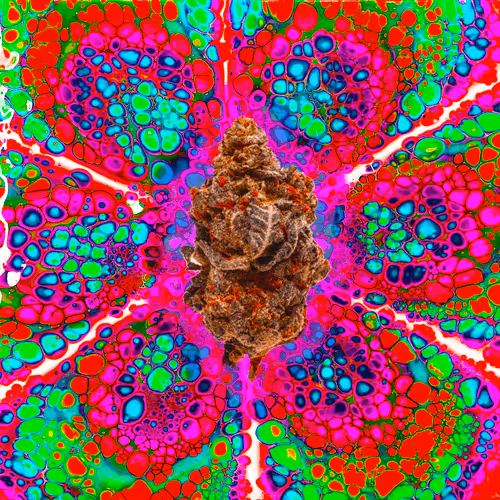 Item #13955282856406335165414100891374623718709547313428947888299033985743625125898 Media