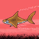 SHARK # 8427