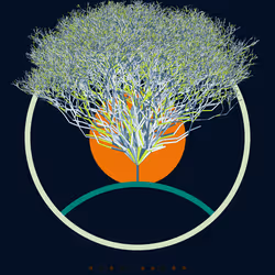 74168867016011539093366687608765447348507224284888477074887989180016481009665