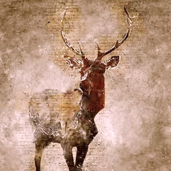 11276162529628641556553056529614973332754405277106184420845745387460521623553