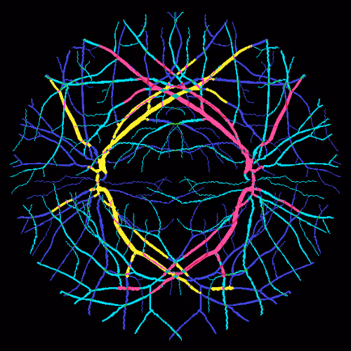 Item #7078802064077755305879053961196844759257248211509687953083586599382878781441 Media