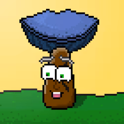 33741781216748986518517832568595493503429706584982134247768926148149723004929