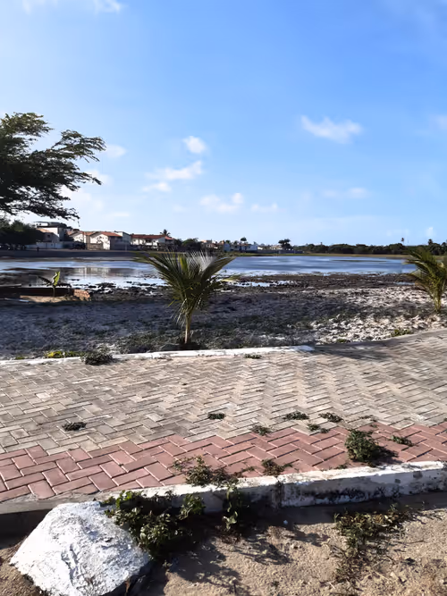 Item #34234254815072535961599382132884136117775170758724349056413657412846252720129 Media