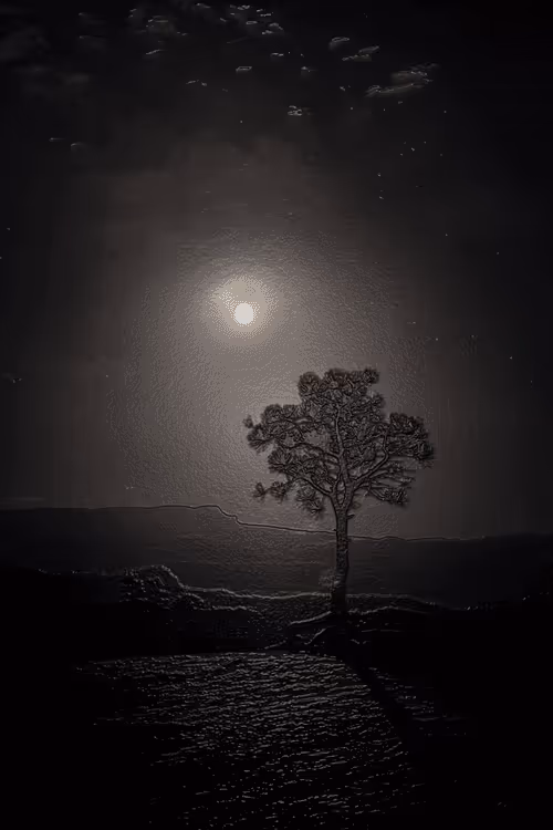 Item #52655132106615007427639537052126499358755561016261279021780266138514891997185 Media