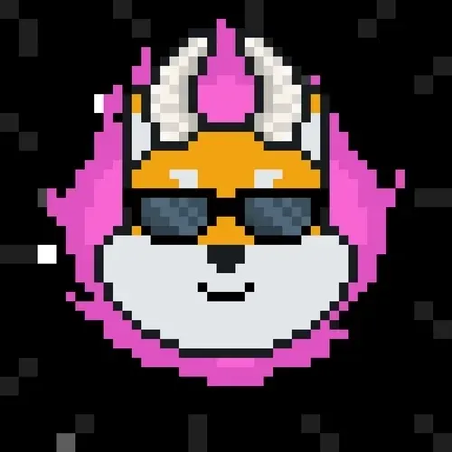 Rocketshiba
