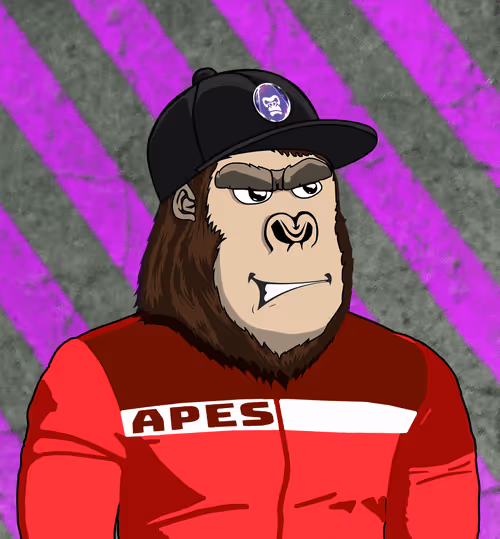 Item #48790520787155310426102062731270564561928034817995506544027698559044976377857 Media