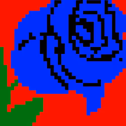  Rose