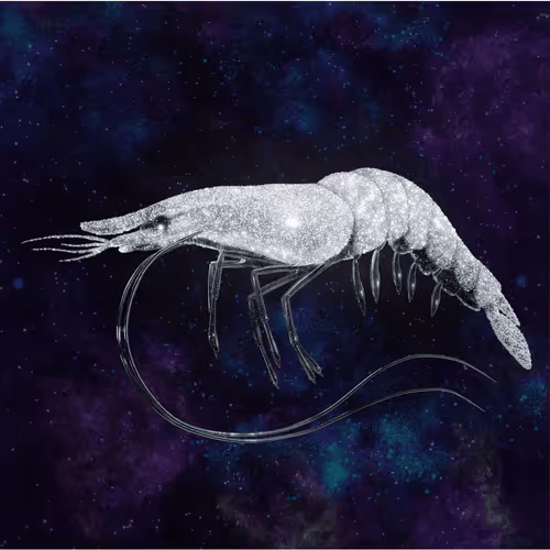 Item #105762233384062999016741843726338797695474386026333060607150235657945097447184 Media