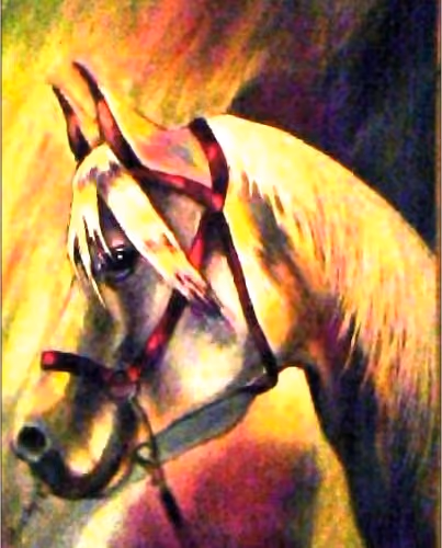 The Adorable Uneek Horse