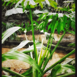 3787080761074609709675817509753112159059746763483256848434353733718268444673