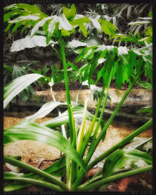 Item #3787080761074609709675817509753112159059746763483256848434353733718268444673 Media