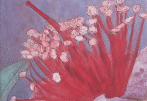 Item #72925079646173943955019179802066495558357068765344184678483369718905995001866 Media