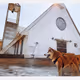 20398875704686402307783913139386243445245022390485599463636815675852517801985