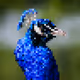 46575380451470163894295968318432373742327172851742378305667863433191452835842
