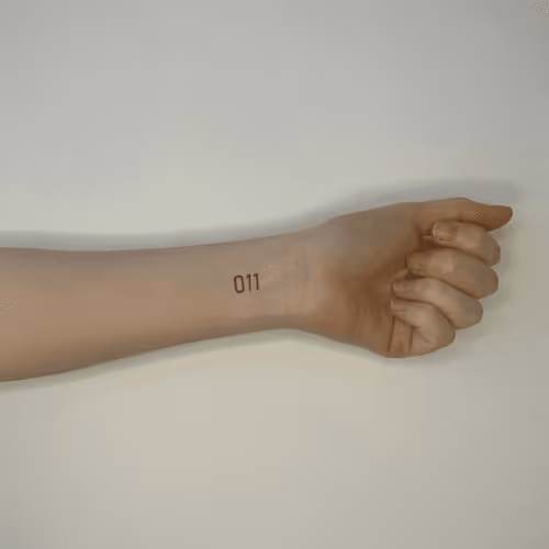 Item #65183321997929773623021069233548220797094048011016072884104954379162584350820 Media